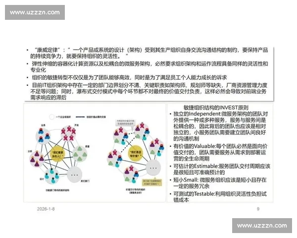 以分工明确为核心推动协同高效运作的组织治理新路径研究模式探索